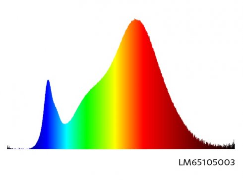 LEDMED LED KAPSULE 360 světelný zdroj 4W E14 - teplá bílá-1