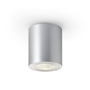 Stropní svítidlo  LED R10323-1