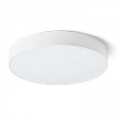 Stropní svítidlo  LED R13484-2