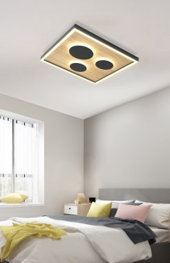 Stropní svítidlo LED  WO 9012-306S-4